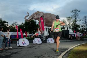 BIB: 
                            <button type="button" onclick="openModal(26529463)" class="btn btn-primary btn-sm float-right btn-popup" data-toggle="modal" data-target=".modal-high-quality">
                        <i class="fas fa-shopping-cart"></i> Add to Cart
                    </button>
                                            <button type="button" onclick="isThisMe(26529463, true)" class="btn btn-success btn-sm float-right btn-popup btn-isme hidden" data-toggle="tooltip" data-placement="bottom" title="นี่คือรูปของคุณใช่ไหม คลิกที่นี่เพื่อเอาเข้าอัลบั้ม">
                        <i class="fas fa-plus"></i> Add to album
                    </button>
                    <button type="button" onclick="isThisMe(26529463, false)" class="btn btn-warning btn-sm float-right btn-popup btn-isnotme hidden">
                        <i class="fas fa-ban"></i> Remove from album
                    </button>